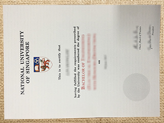 National University of Singapore diploma