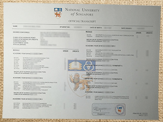 NUS transcript