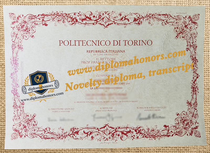 Politecnico di Torino degree