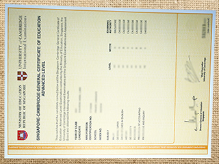 Singapore-Cambridge GCE Ordinary Level certificate
