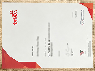 TAFE SA diploma