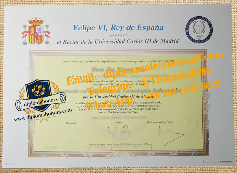 Universidad Carlos III de Madrid degree