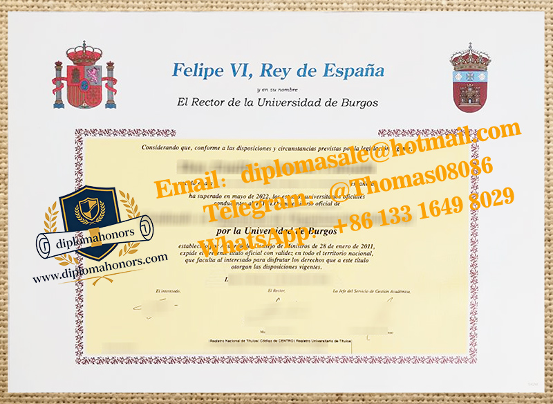 Universidad De Burgos degree