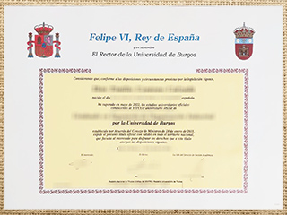 Universidad De Burgos diploma