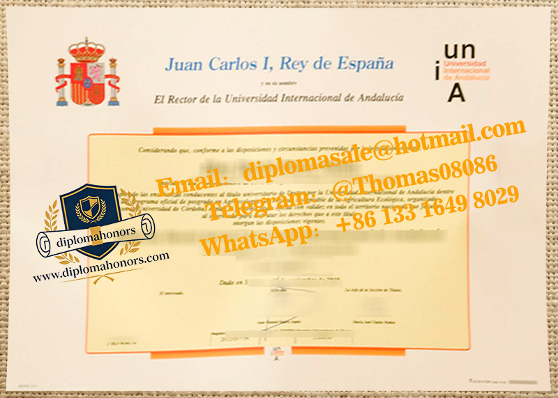 Universidad Internacional de Andalucía degree