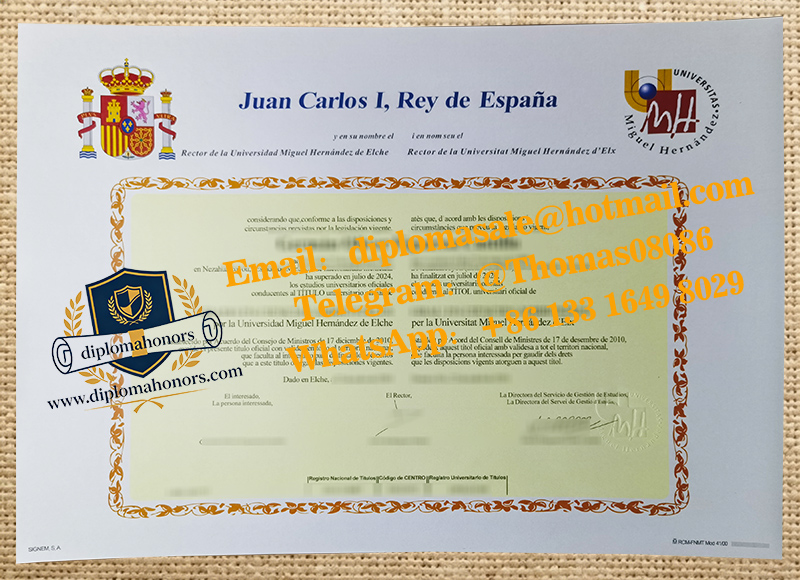 Universidad Miguel Hernández de Elche degree