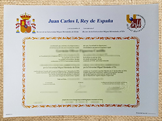 Universidad Miguel Hernández de Elche diploma