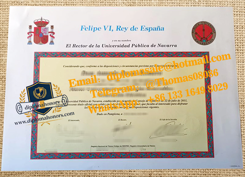 Universidad Pública de Navarra degree