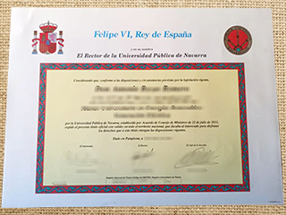 Universidad Pública de Navarra diploma