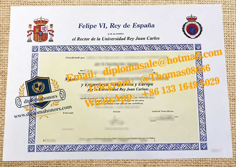 Universidad Rey Juan Carlos degree