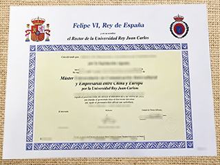 Universidad Rey Juan Carlos diploma