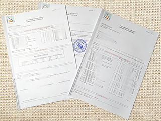University of Alicante transcript