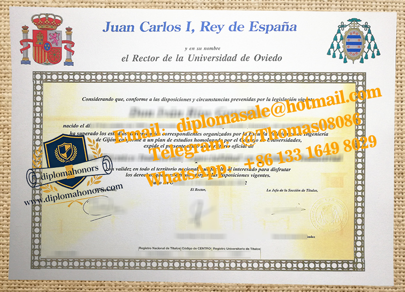 Universidad de Oviedo degree