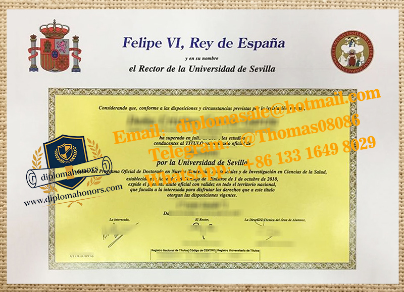 Universidad de Sevilla degree