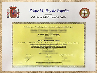 Universidad de Sevilla diploma