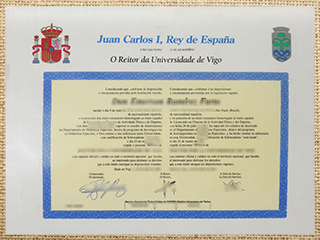 Universidad de Vigo diploma