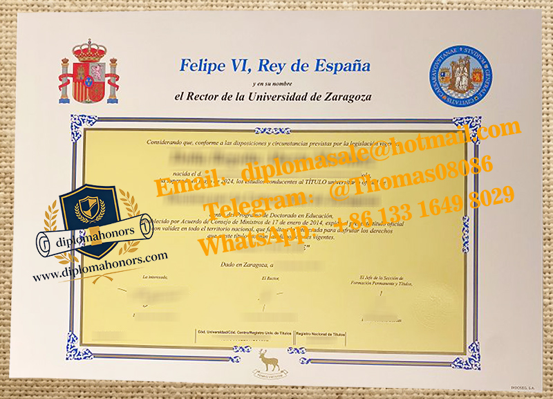 Universidad de Zaragoza degree