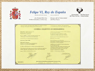 Universidad del País Vasco diploma