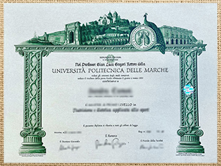 Università Politecnica delle Marche diploma