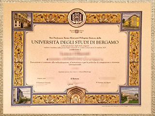 Università degli Studi di Bergamo diploma