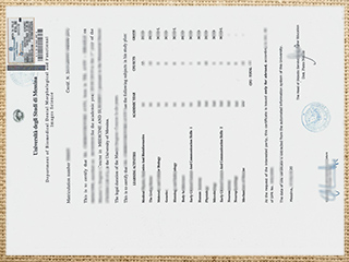 University of Messina transcript