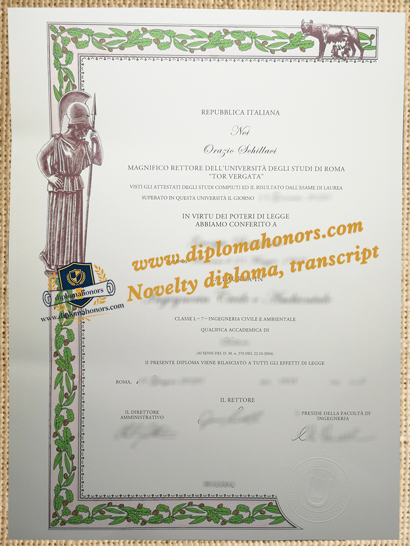 Università degli Studi di Roma Tor Vergata degree