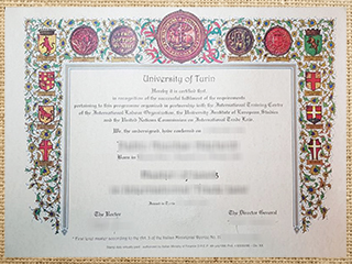 Università degli Studi di Torino diploma