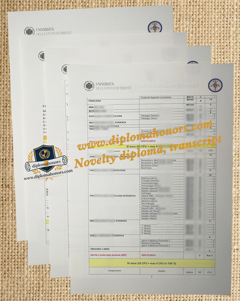 Università degli Studi di Torino transcript