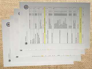 University of Turin transcript