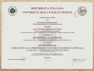 Università degli Studi di Trieste diploma