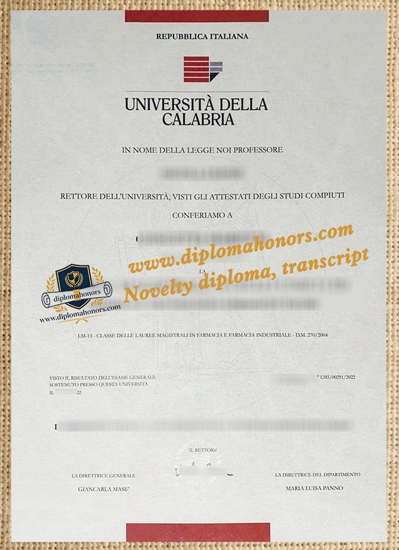 Università della Calabria degree