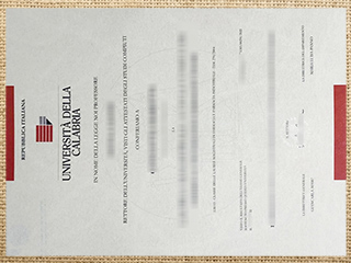 Università della Calabria diploma