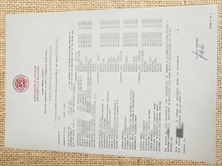 University of Bologna transcript