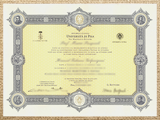 Università di Pisa diploma