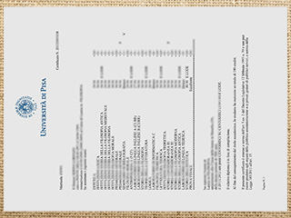 University of Pisa transcript