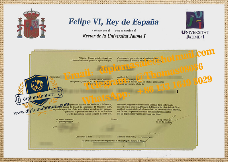 Universitat Jaume I degree