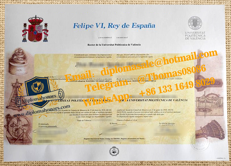 Universitat Politècnica de València degree