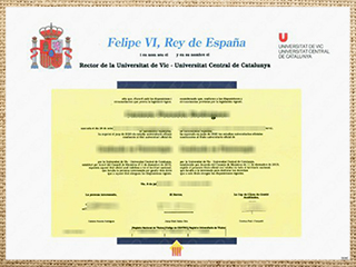 Universitat de Vic - Universitat Central de Catalunya diploma