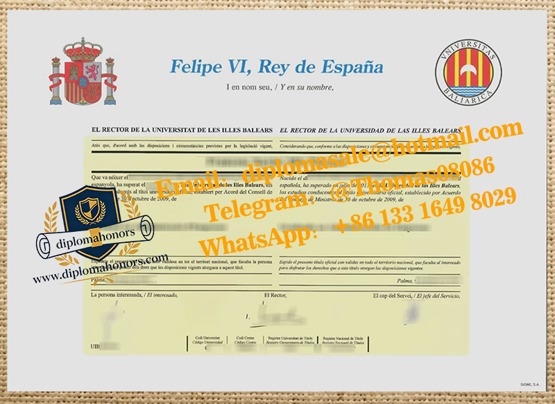 Universitat de les Illes Balears degree