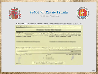 Universitat de les Illes Balears diploma