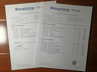 Paris Dauphine University transcript
