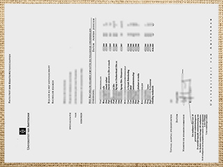 UvA transcript
