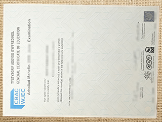 WJEC Level certificate