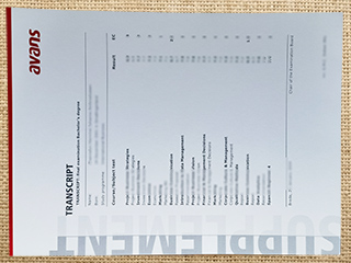 Avans Hogeschool official transcript