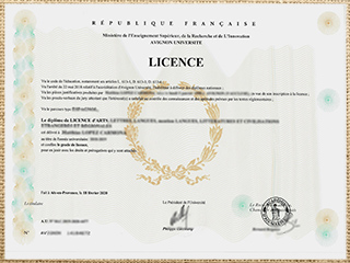 Avignon Université degree