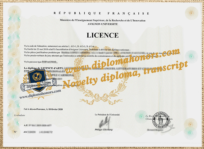 Avignon Université diploma