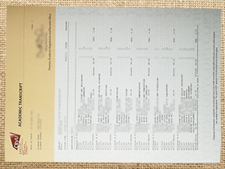 CityU transcript