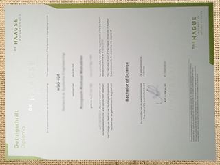 De Haagse Hogeschool degree