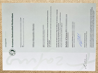 Erasmus Universiteit Rotterdam degree