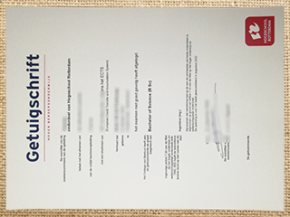 Hogeschool Rotterdam degree